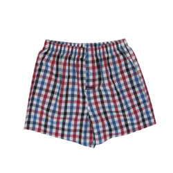 Blue and Red Check Boxers